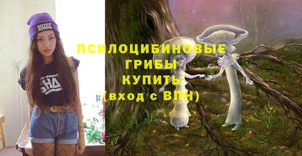 хмурый Алексин